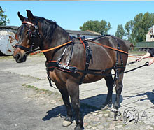 Uprz�� wyjazdowa